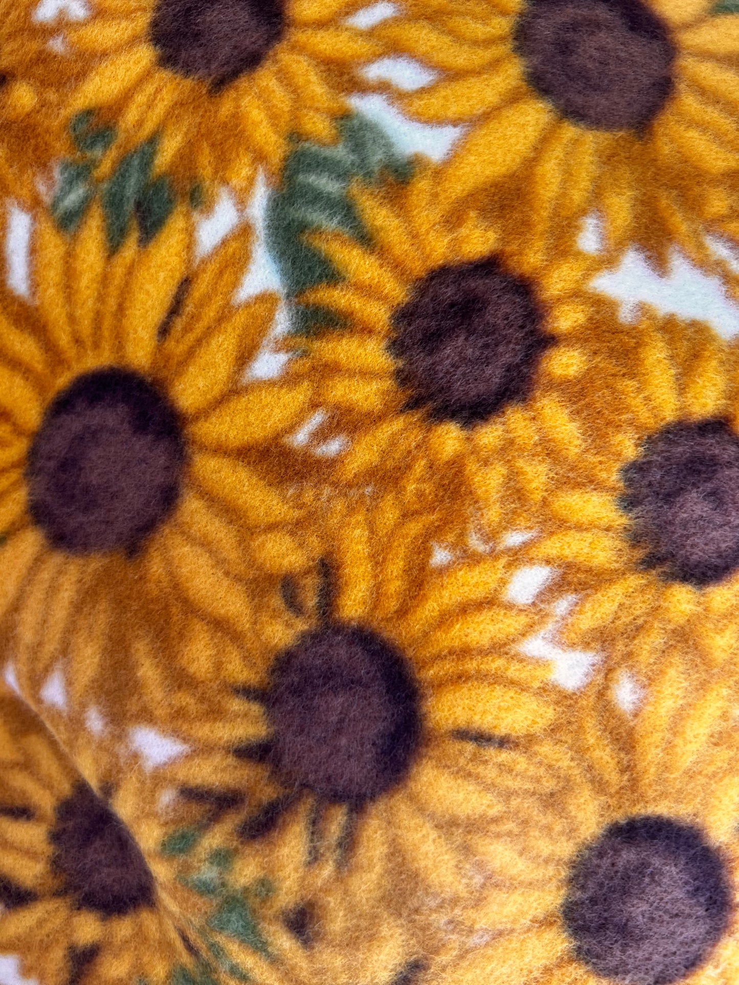 Sunny Sunflower