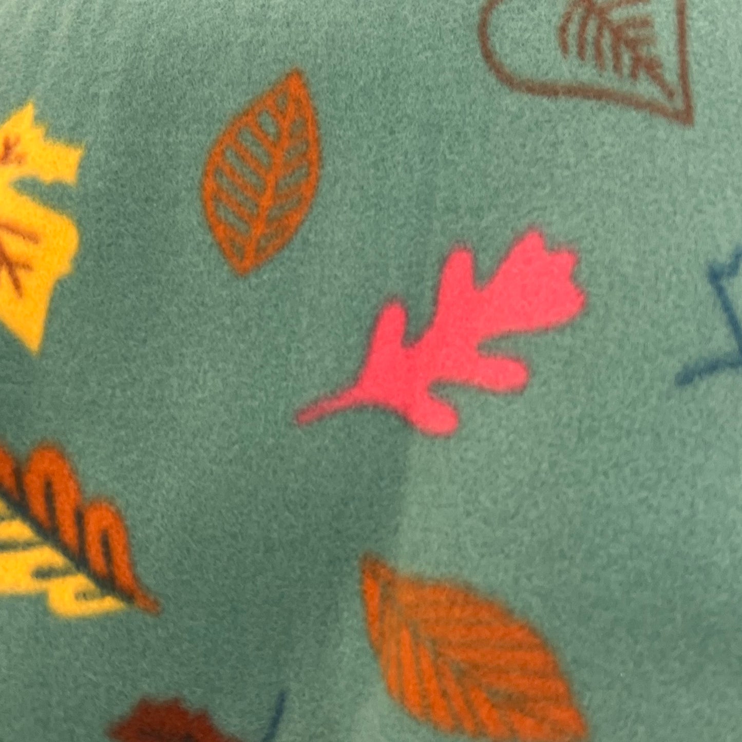Fall Foliage
