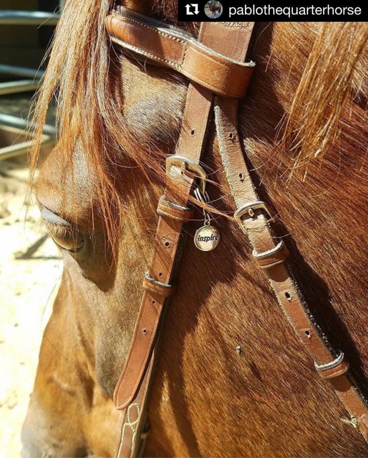 Mystery Bridle Charm